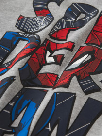 NAME IT Sweatshirt Floyd Spider-Man Grey Melange